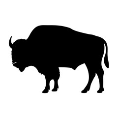 Silhouette of a majestic American Bison or Buffalo standing peacefully on white