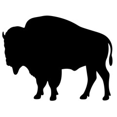 Silhouette of American Bison or Buffalo in Black Against White Background
