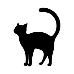 Elegant Black Cat Silhouette with Arched Tail, a Symbol of Mystery