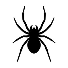 Simple black silhouette illustration of an eight legged spider on white