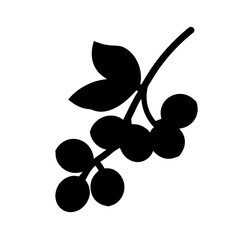 Silhouette of a branch with berries and leaves on a white background