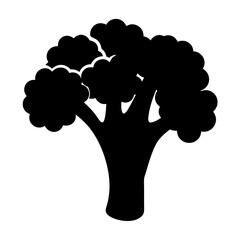 Striking silhouette of a broccoli floret isolated on a white background