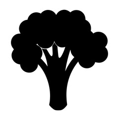 Simple black and white vector silhouette illustration of a broccoli plant