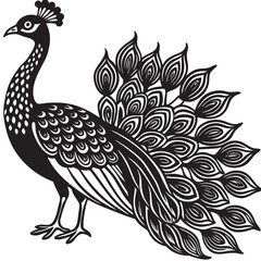 Peacock silhouette vector illustration on white background