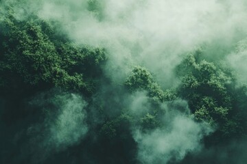 Misty forest canopy, dense foliage shrouded in a thick cloud cover. Lush green trees emerge from the swirling mist.  A view from above