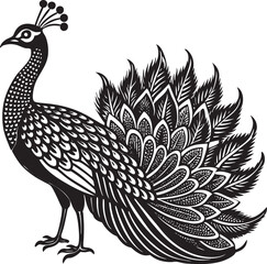 Peacock silhouette vector illustration on white background