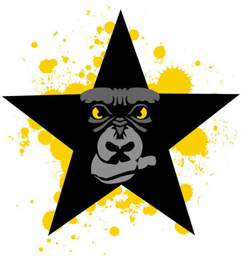 gorille etoile singe primate dessin