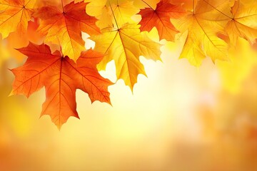 Fototapeta premium Autumn's Warm Embrace A Cascade of Vibrant Maple Leaves in Golden Light