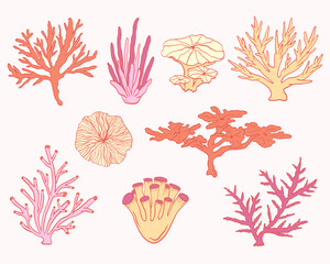 Vector marine clipart. Coastal elements collection of colorful hand-drawn corals in soft pastel tones isolated on light background for nautical projects, packaging, invitations, beach decor, etc.