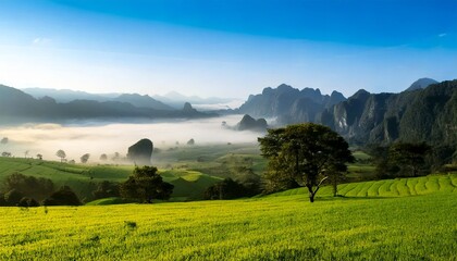 Fototapeta premium Paisaje de valle brumoso con campo verde y montañas brumosas; hermoso fondo de pantalla matutino; fondo pintoresco inspirador para pancartas o postales, espacio de copia, diseño de lugar, inspiración