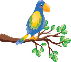 blue and yellow bird