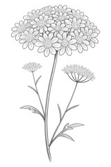 Colouring page for kids, hand drawn vector illustration of a cartoon Camel, pre school Colouring page, animal Colouring page, flower Colouring page, adult Colouring page, 