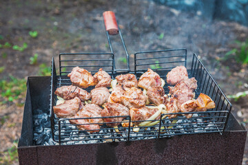 Shish kebab meat is grilled on coals with a barbecue in nature.