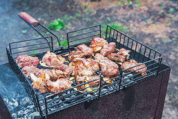 Shish kebab meat is grilled on coals with a barbecue in nature.