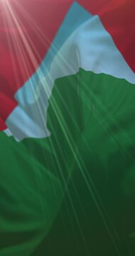 Flag of Caracas, Venezuela. 4K Vertical. Loop