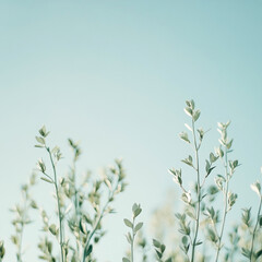 Delicate white flowers stand out against a serene blue background, creating a peaceful and refreshing visual. A beautiful combination of simplicity and elegance, perfect for calm and serene vibes.

