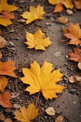 A curled, yellow autumn leaf lies on the ground , detail, red