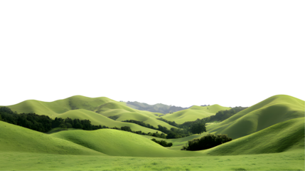 Lush Green Rolling Hills Under Clear Blue Sky with Gentle Sunlight