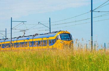 Electric train riding on a railroad track in nature in sunlight in springtime, Oostvaardersplassen,...