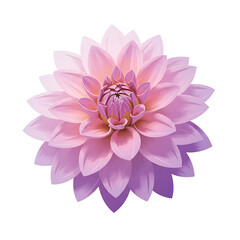 Fototapeta premium flower