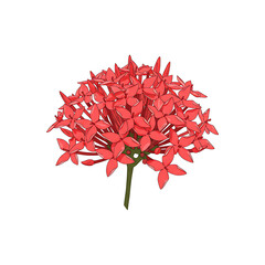 Naklejka premium flower