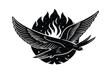 set of black and white feathers