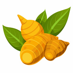 herbs and spices turmeric isolated white 