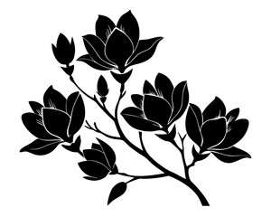 Magnolia Flowers Vector, Flowers illustration Svg Clipart
