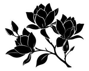Obraz premium Magnolia Flowers Vector, Flowers illustration Svg Clipart