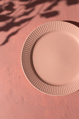 Empty ceramic plate on the mediterranean pink terracotta color plaster background with leaves shadows. Copy space