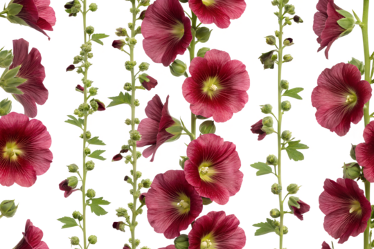 Common hollyhock seamless pattern background - Powered by Adobe