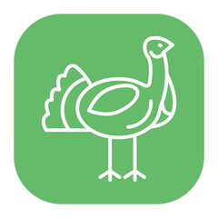 Turkey Icon