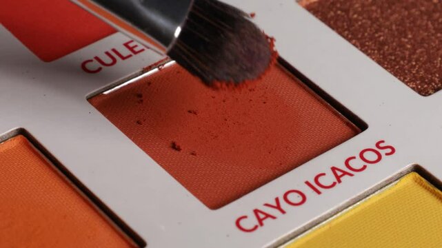 Shot of brush using eyeshadow from palette (cayo icacos).