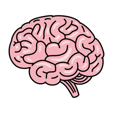 Brain Icon Isolated