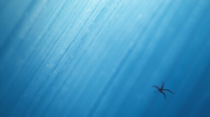 Microphotography of Minimalist Blue Mesh Pattern – Close-Up Texture and Geometry