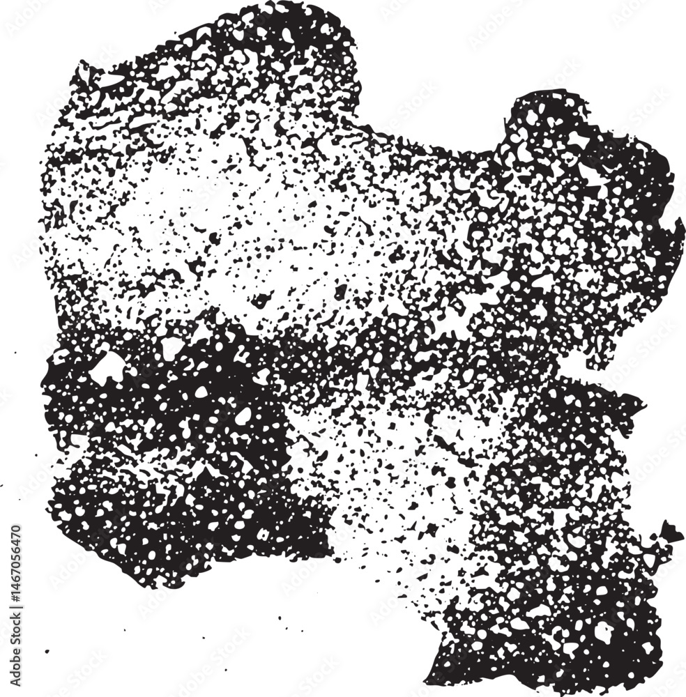 Poster a textured grayscale abstract shape dominates the .