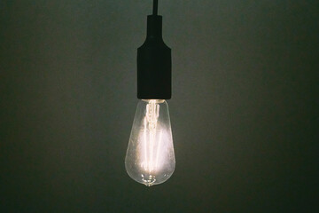 温かい光を放つエジソン電球