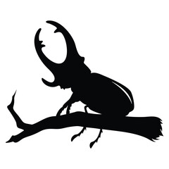 Fototapeta premium Powerful Stag Beetle Silhouette on Branch Vector Illustration