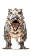 A roaring Tyrannosaurus Rex, front view, isolated on white.  Detailed scales and sharp teeth are visible