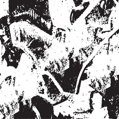 A close-up reveals a textured monochrome leaf fragment with intricate vein .