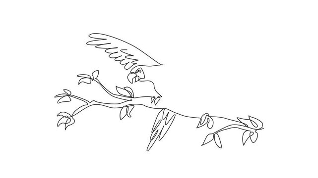 Self drawing animation of single continuous line drawing of adorable parrot bird perched at tree branch in the local bird conservation. Macaw bird ready to fly from twigs. Full length animated