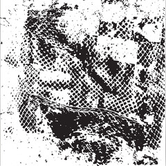 A textured black and white abstract dominates the .