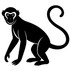 Monkey Silhouette – Vector Animal Illustration