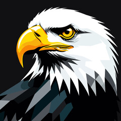 Fototapeta premium american bald eagle vector illustration