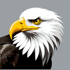 Fototapeta premium Bald_Eagle_Illustration_American_Symbol_Bird_of_Prey