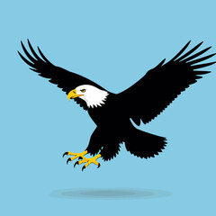 Obraz premium Bald-Eagle-Flying-Illustration_American-Eagle_Bird-of-Prey