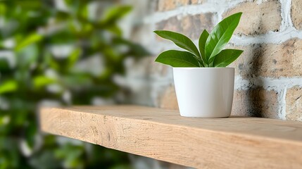 Obraz premium Potted Plant on Wooden Shelf with Brick Wall Backdrop