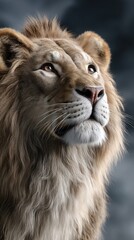 Majestic lion portrait, detailed fur