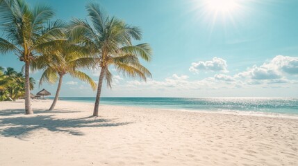 Idyllic Tropical Beach Scene Palm Trees White Sand and Azure Ocean Under a Sunny Sky