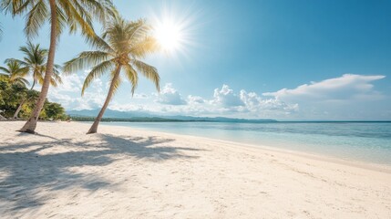 Obraz premium Idyllic Tropical Beach Scene White Sand Beach Palm Trees Sunny Day Ocean View